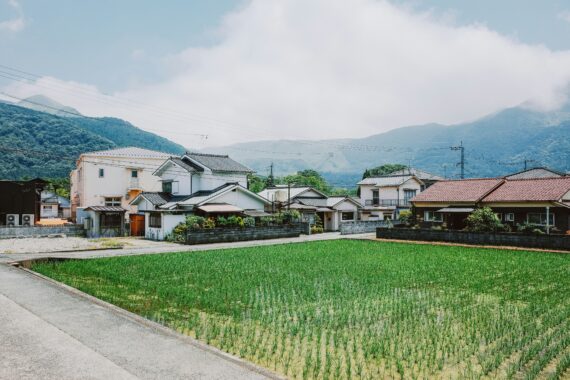 « Le Trou » d’Oyamada Hiroko : une chute dans l&rsquo;étrange