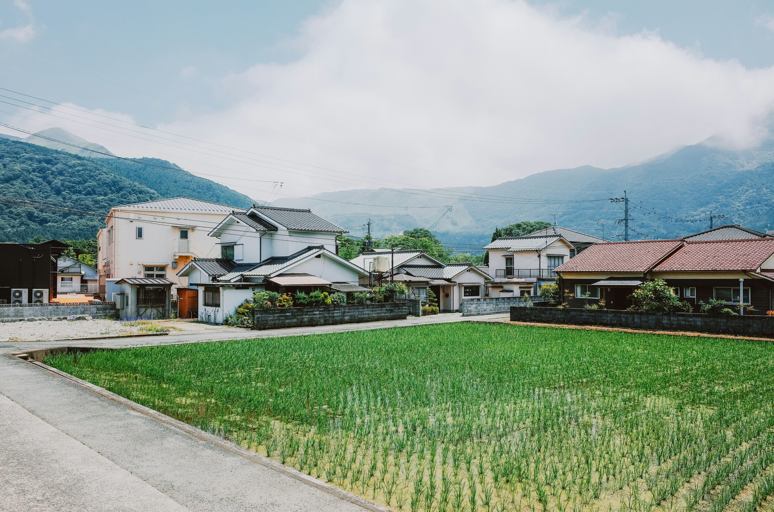 Query successful Gemini said Une rizière d'un vert éclatant au premier plan d'un village japonais paisible, entouré de montagnes verdoyantes sous un ciel partiellement nuageux.